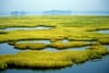 Obama-era water protections were just gutted.