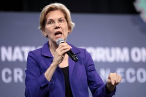 Could Elizabeth Warren's health care plan actually work?